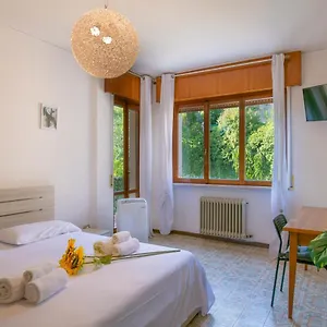 https://olgas-rooms.hotelinveneto.com